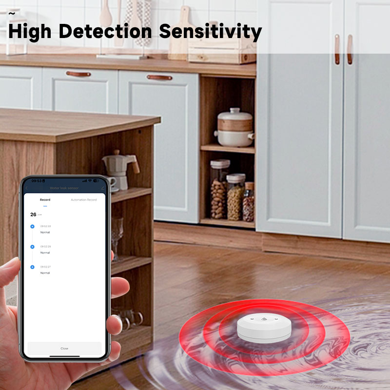 Tuya ZigBee Smart Water Leak S - Kitchen Appliances Video review and price