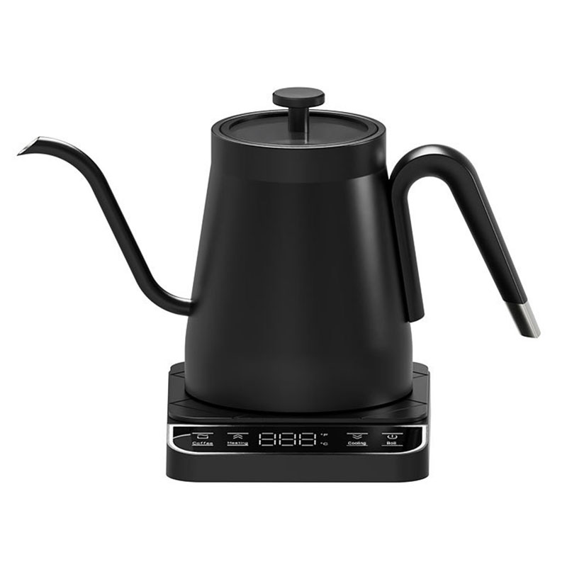 120v 220v Stainless Steel elec - Electric Kettle Gooseneck review and price