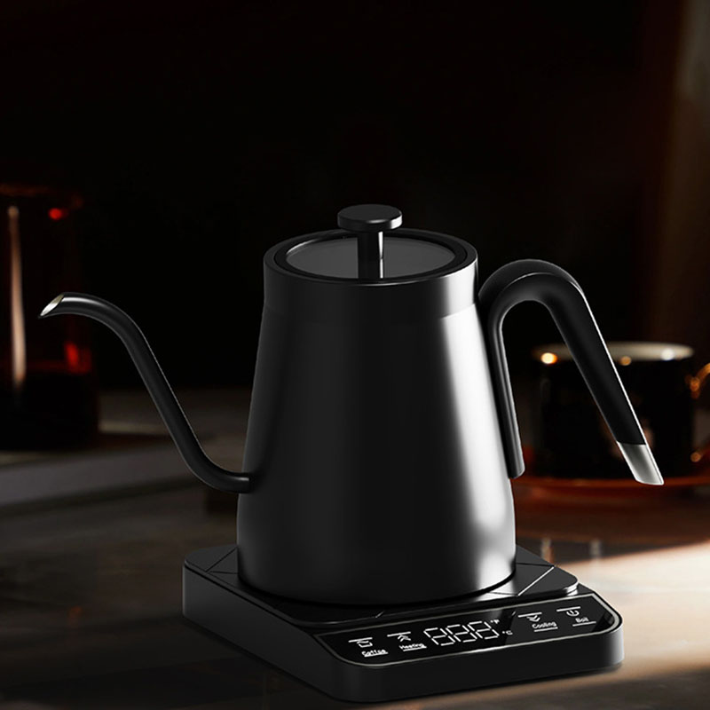 120v 220v Stainless Steel elec - Electric Kettle Gooseneck review and price