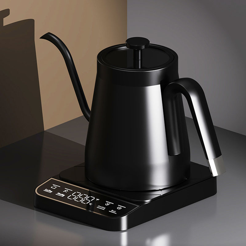 120v 220v Stainless Steel elec - Electric Kettle Gooseneck review and price