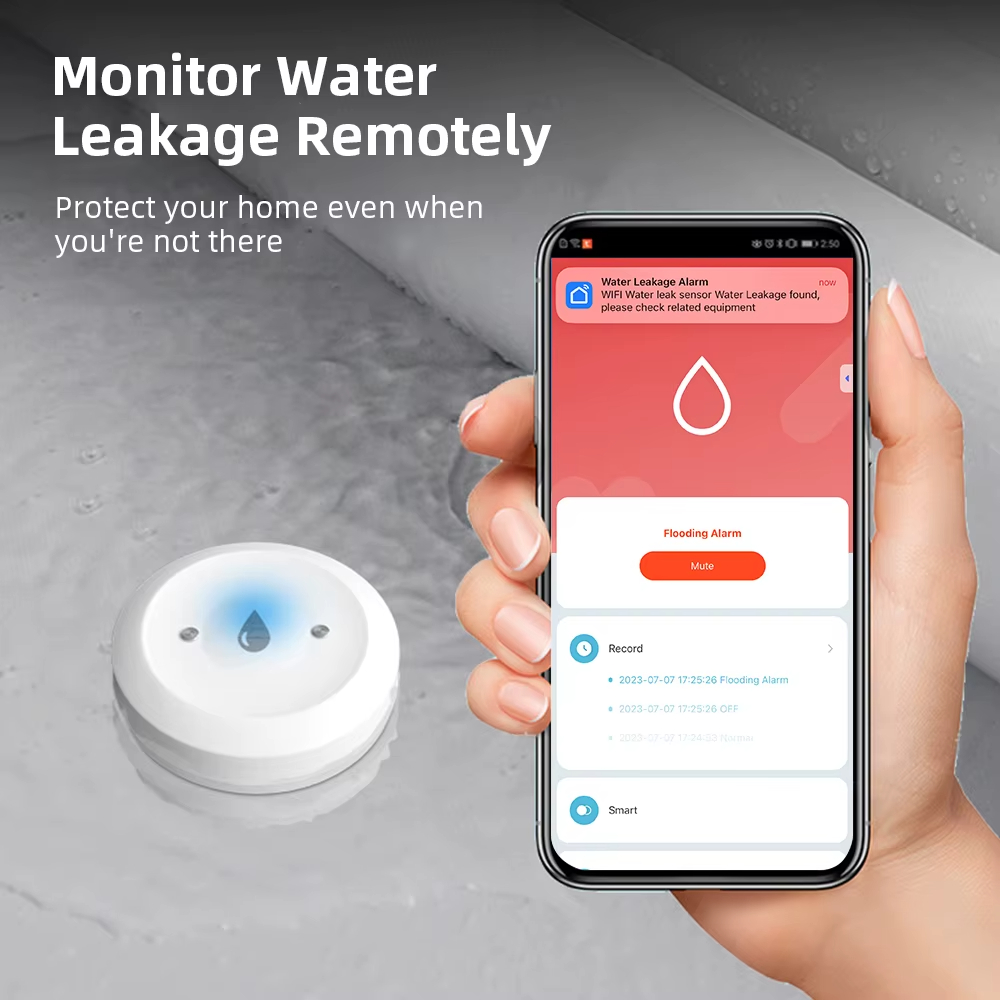 ZigBee Smart Water Leak Sensor - Kitchen Appliances Video review and price